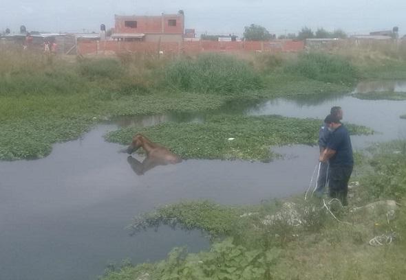 Rescate
