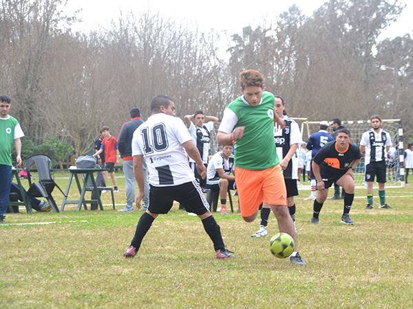 Liga