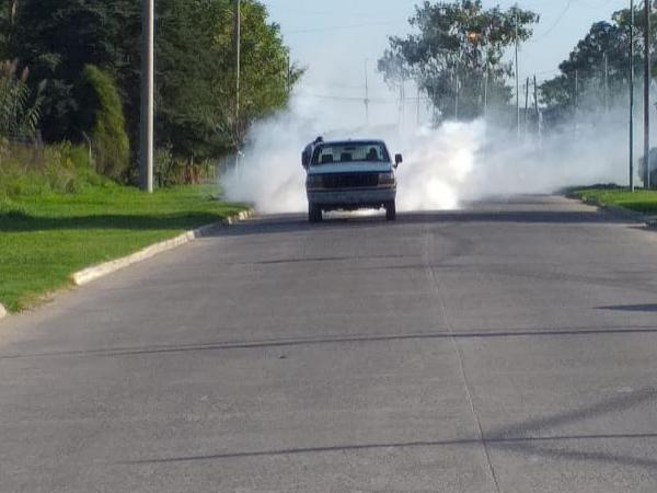 Fumigacion