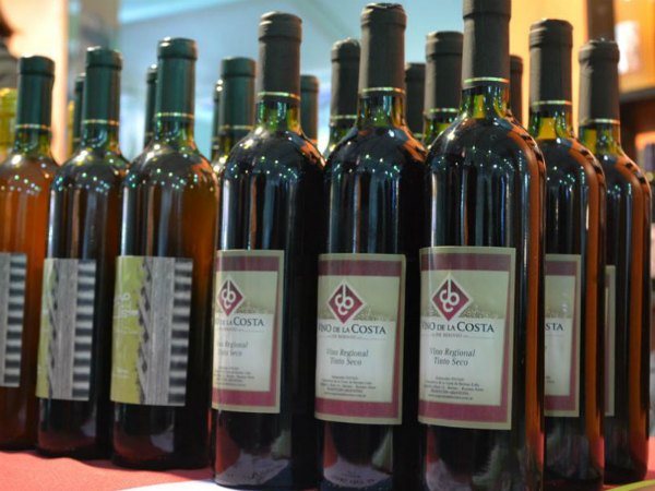 Vino