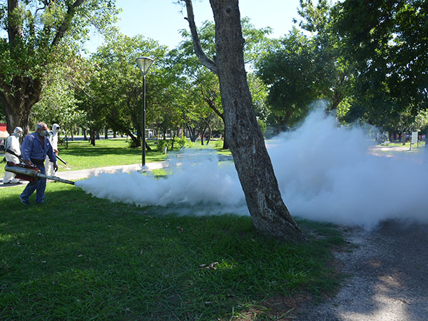 Fumigacion