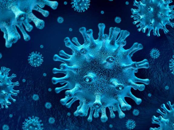 Coronavirus