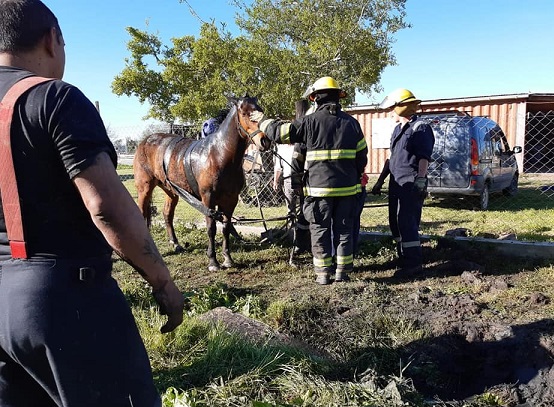 Bomberos