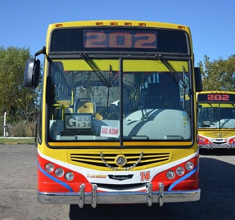 Linea 202