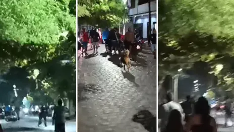 copia-copia-diseno-titulo-3png