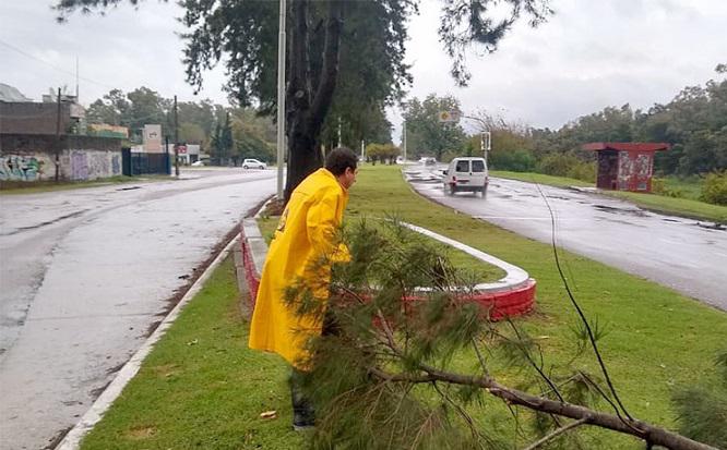 Temporal