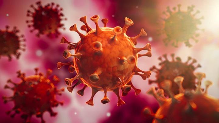 Coronavirus