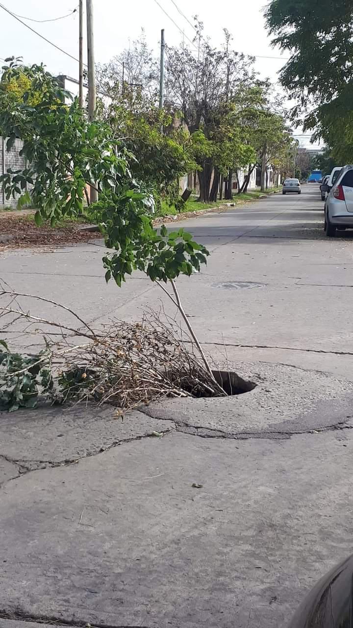 Bache Pozo