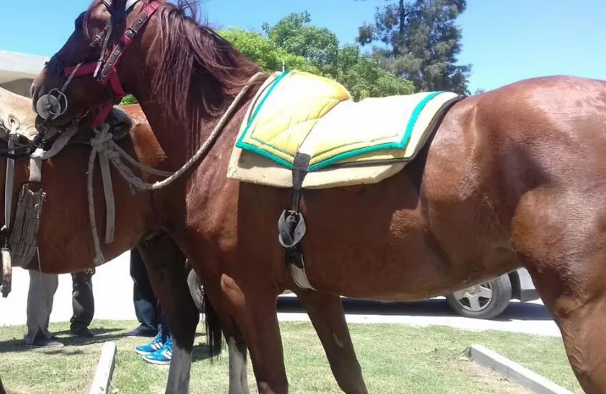 Caballo
