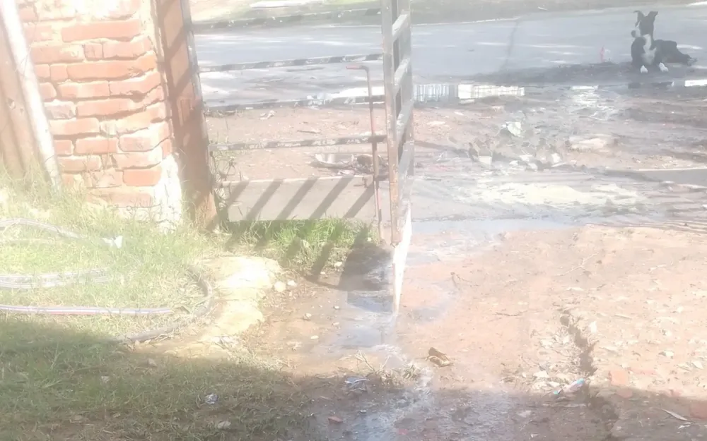 Agua cloaca