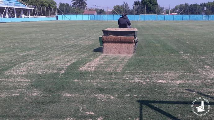 Cancha