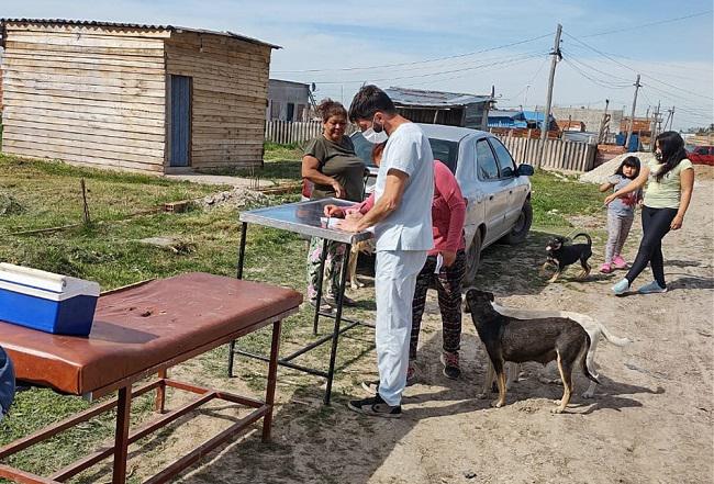 Veterinaria