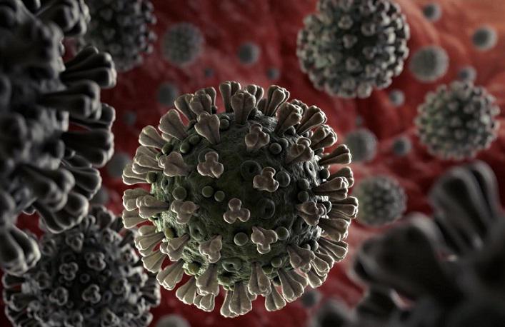 Coronavirus