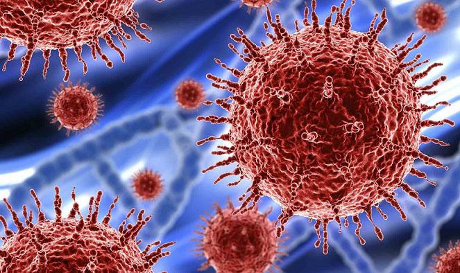 Coronavirus