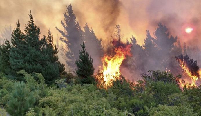 Incendio
