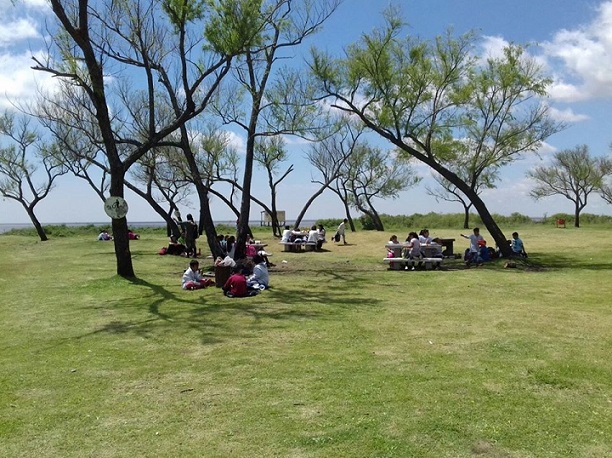 Isla Paulino