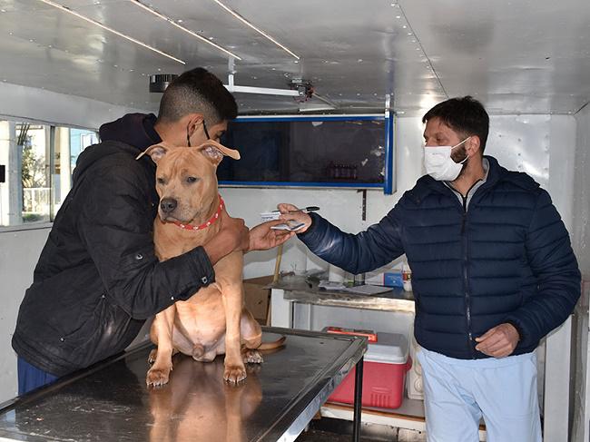 Veterinaria