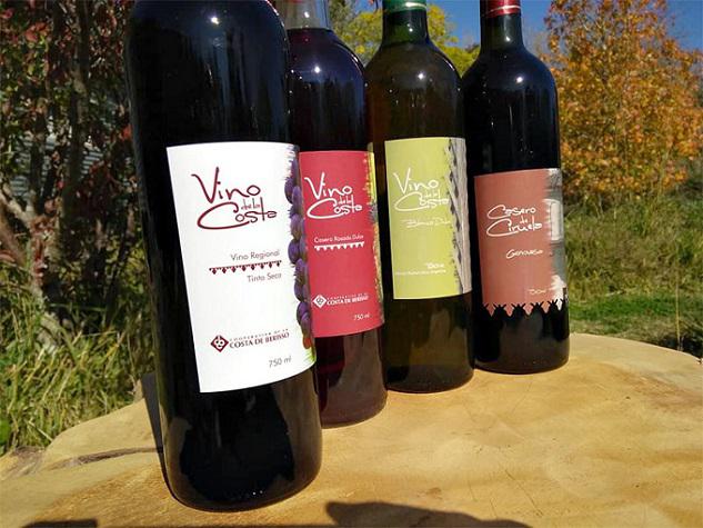 Vino