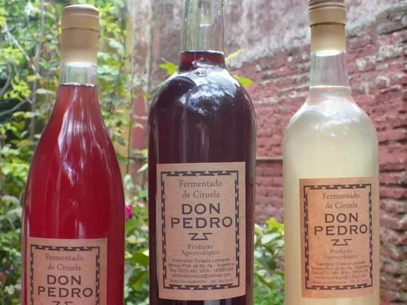 Fermentado vino