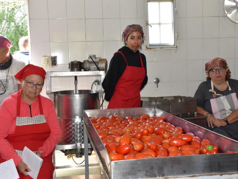 Taller Tomate Curso Comida