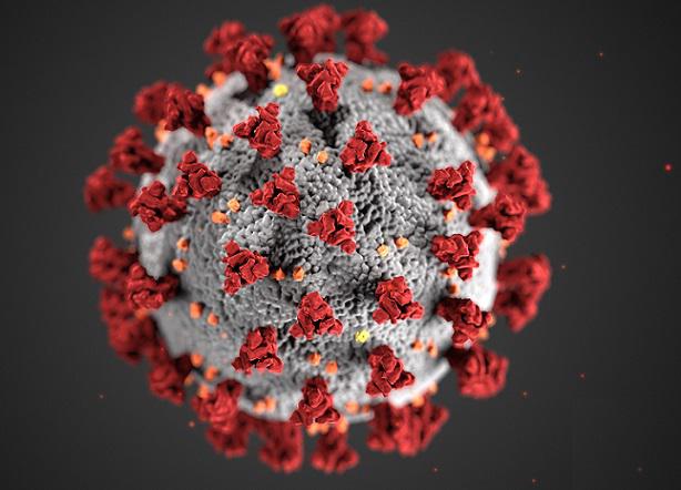 Coronavirus